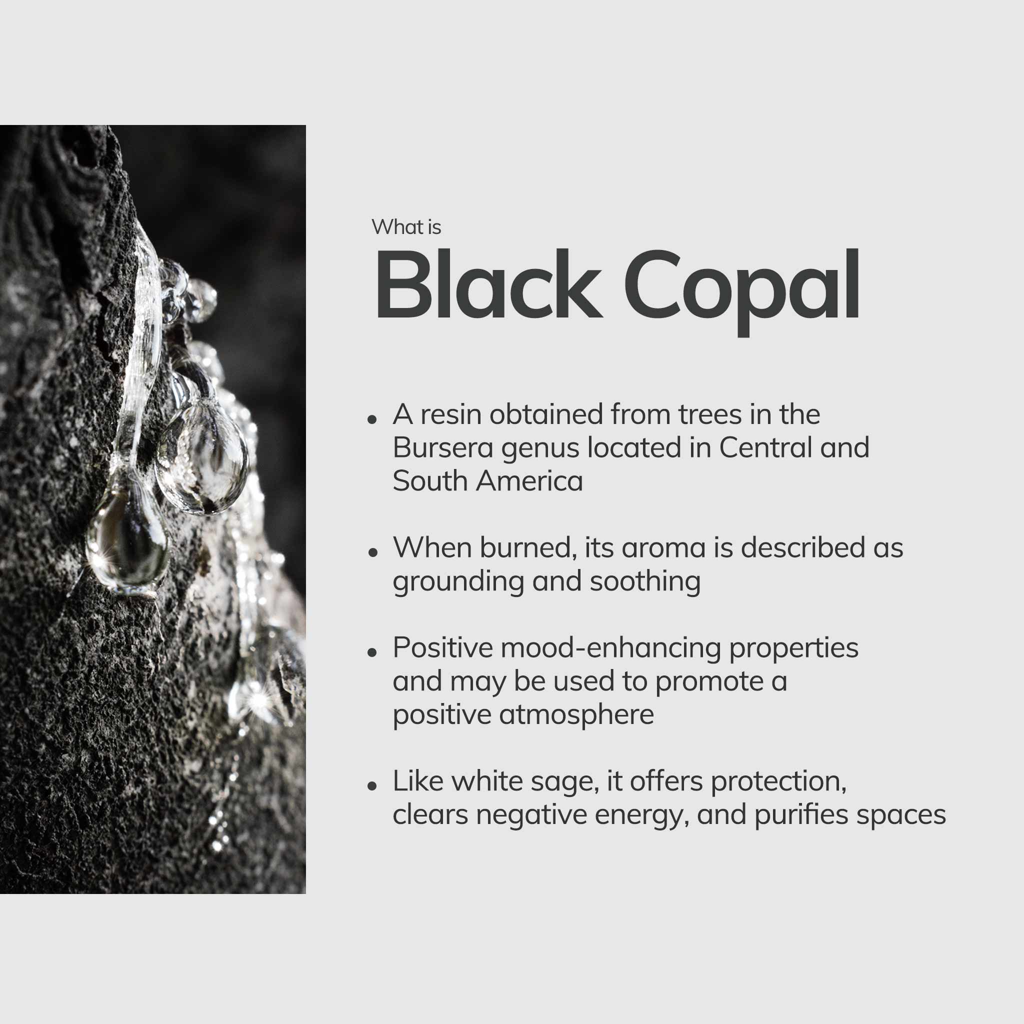 Black Copal Hand-Rolled Incense Stick - Image 5