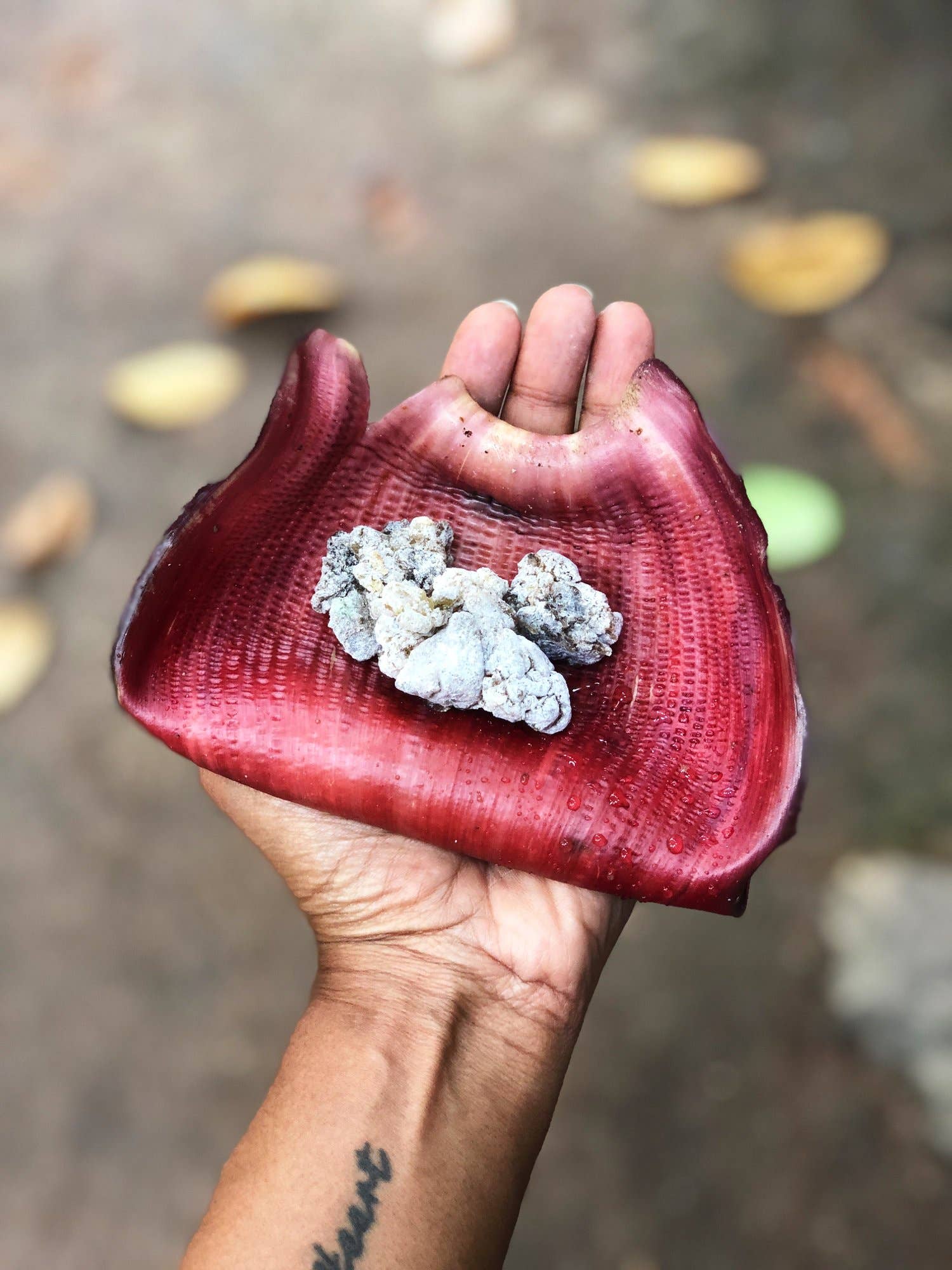 Natural Frankincense Incense Sticks - Image 6