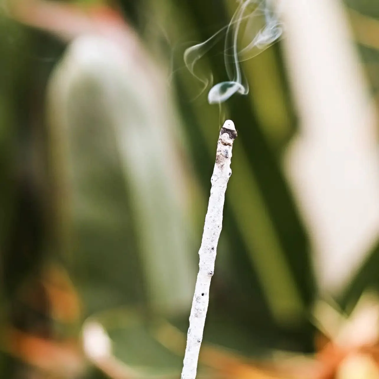 White Copal Incense Sticks (Rolled in Tulum) 20h+ burn time - Image 8