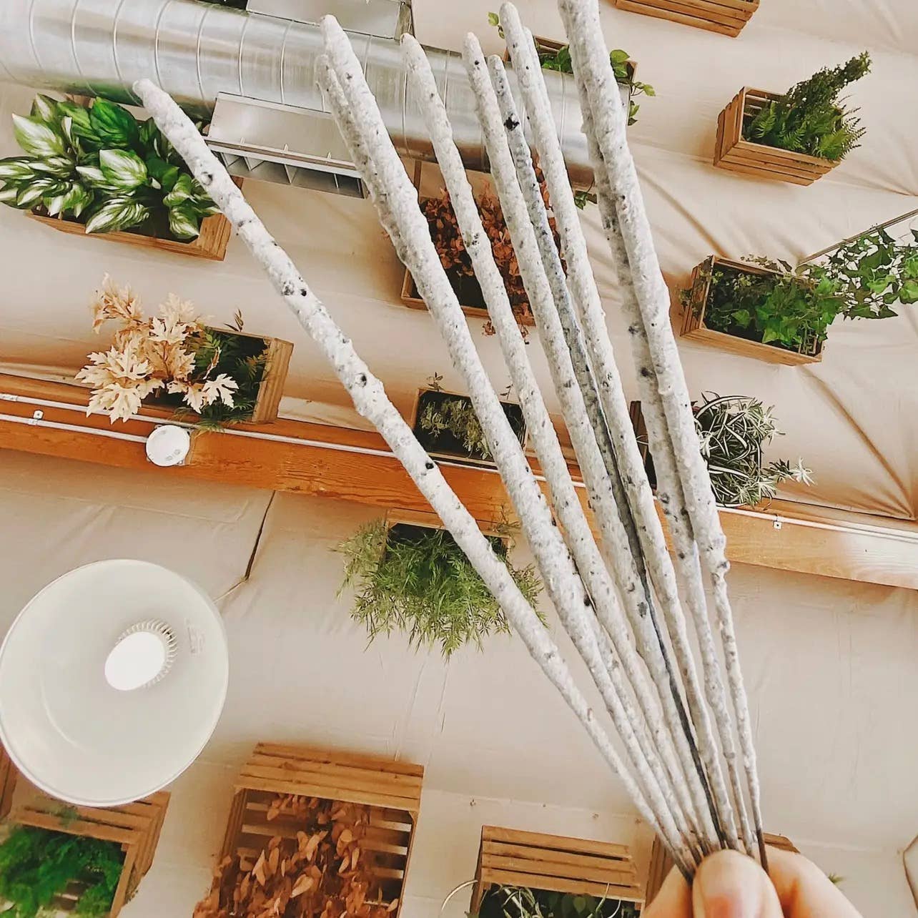 White Copal Incense Sticks (Rolled in Tulum) 20h+ burn time - Image 9